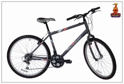 RALEIGH - FIREFLY �149.99