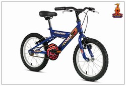 RALEIGH - KOOL MAX 10 16 �84.99