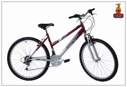 RALEIGH - MANTIS �134.99
