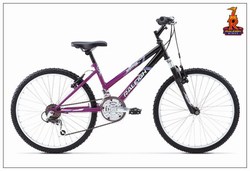 RALEIGH - RAPTOR 13 24 GIRLS �129.99
